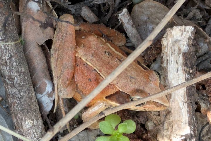 �j�z���A�J�K�G��